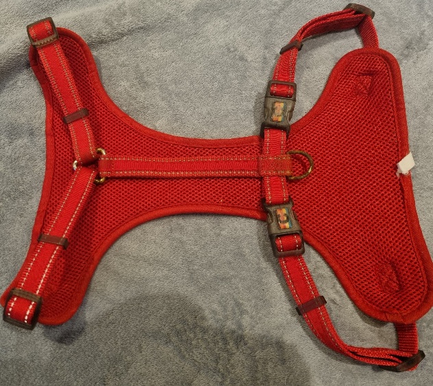 Harnais en maille rouge