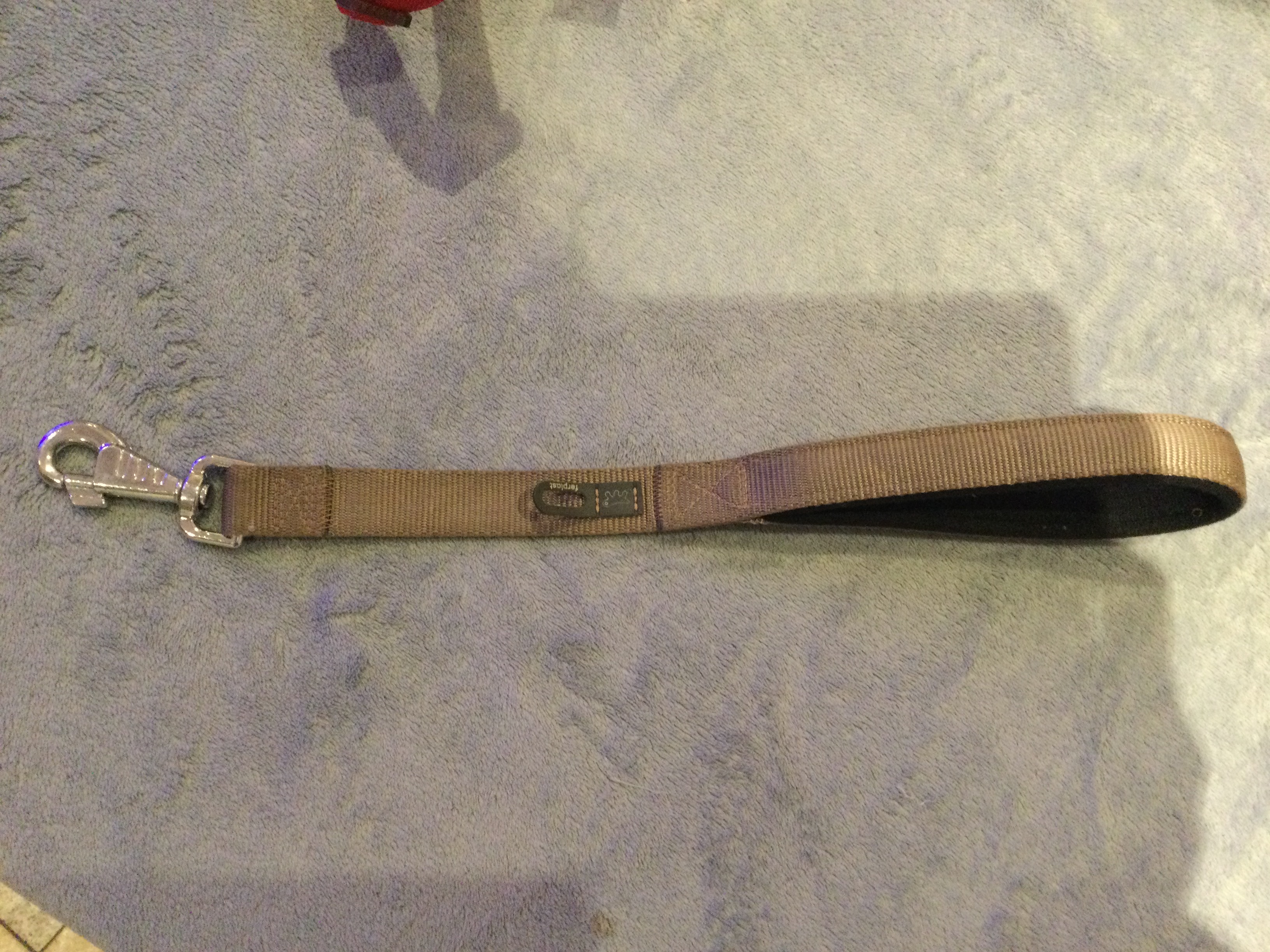 Laisse courte en nylon pour chien